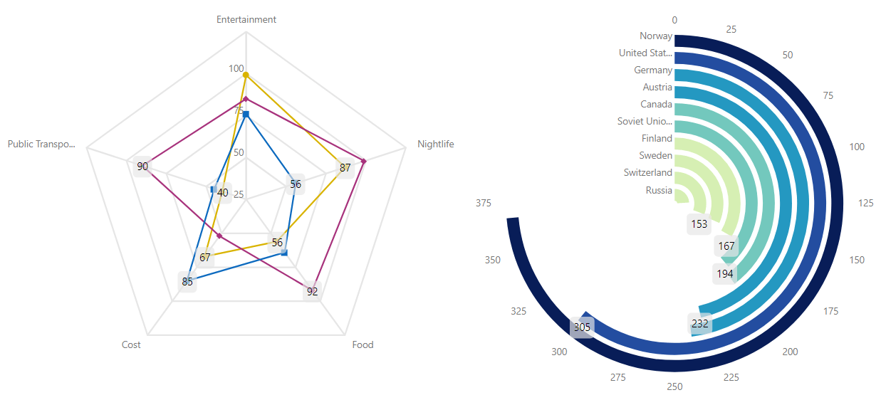 xViz Radar/Polar Chart Power BI Custom Visual Key Features